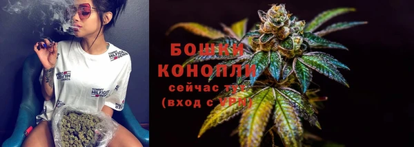 твердый Михайлов