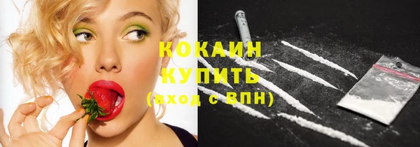 гидра Наволоки