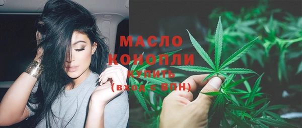 твердый Михайлов