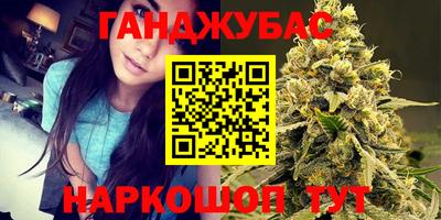 гашик Волжский