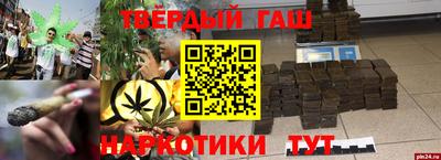 гашик Волжский