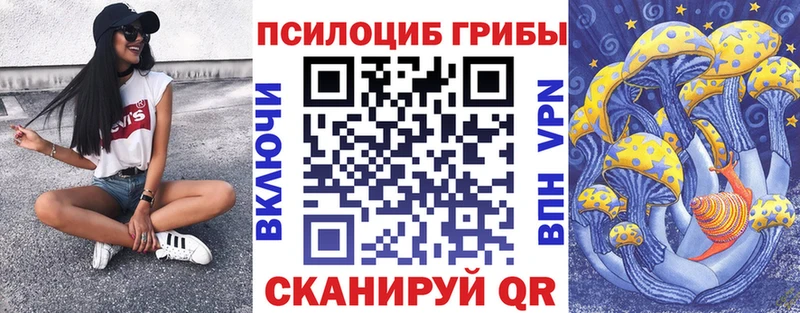 Псилоцибиновые грибы Magic Shrooms  цены   Отрадное 