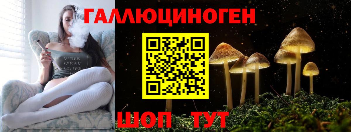 Галлюциногенные грибы Psilocybe  Галлюциногенные грибы Magic Shrooms  Вход с VPN  Отрадное 
